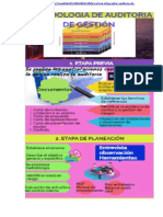 Infografia de Auditoria de Gestión