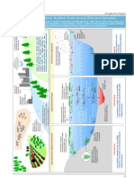 Eutrophic Diagram