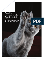 2013. Cat scratch disease. Frontier