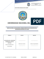 Directiva "Aplicación Del Trabajo Remoto de Los Docentes en La Universidad Nacional Del Callao", PDF