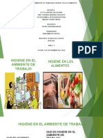 Higiene en Ambiente de Trabajo y Higiene de Alimentos