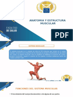 ANATOMIA Y ESTRUCTURA MUSCULAR (2).pptx