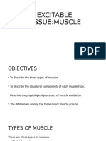Muscle Types, Structure and Function
