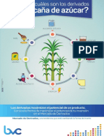 Abc de Los Derivados PDF