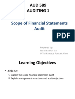 Understanding the Scope of Financial Statement Audits