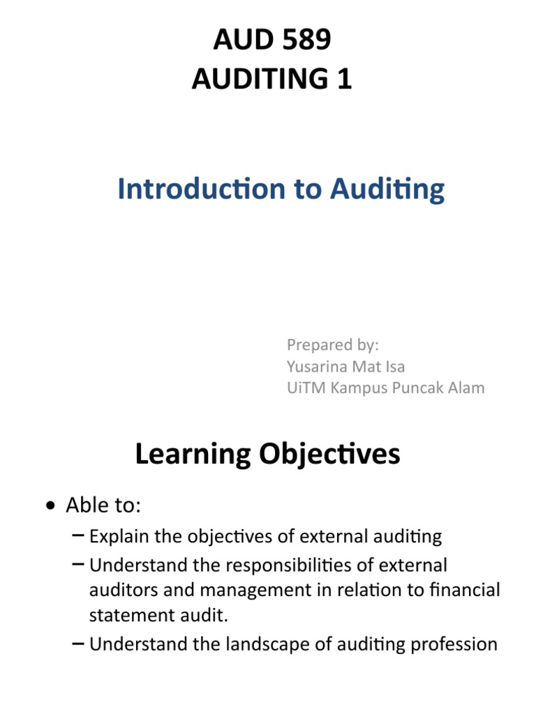 Introduction to Auditing Concepts | PDF | Financial Audit | Audit