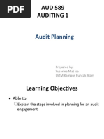 TOPIC 3d - Audit Planning