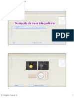 Transporte de Masa Interparticular PDF