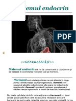 s. endocrin