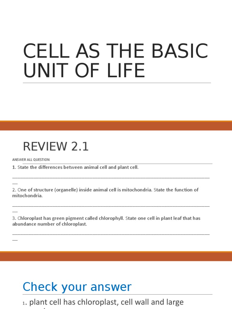 Differences Between Animal and Plant Cells | PDF | Self-Improvement