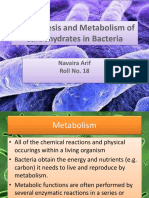 Biosynthesis and Metabolism of Carbohydrates in Bacteria: Navaira Arif Roll No. 18