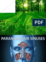 Paranasalsinusess 160917115910