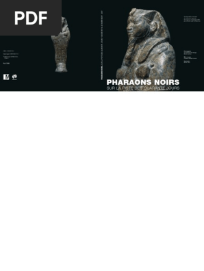Pharaons Noirs Sur La Piste Des Quarant Pdf Archeologie Science