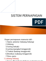 2.1.sistem Pernafasan Dan Paru