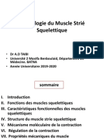 Physiologie Du Muscle Strie Squelettique