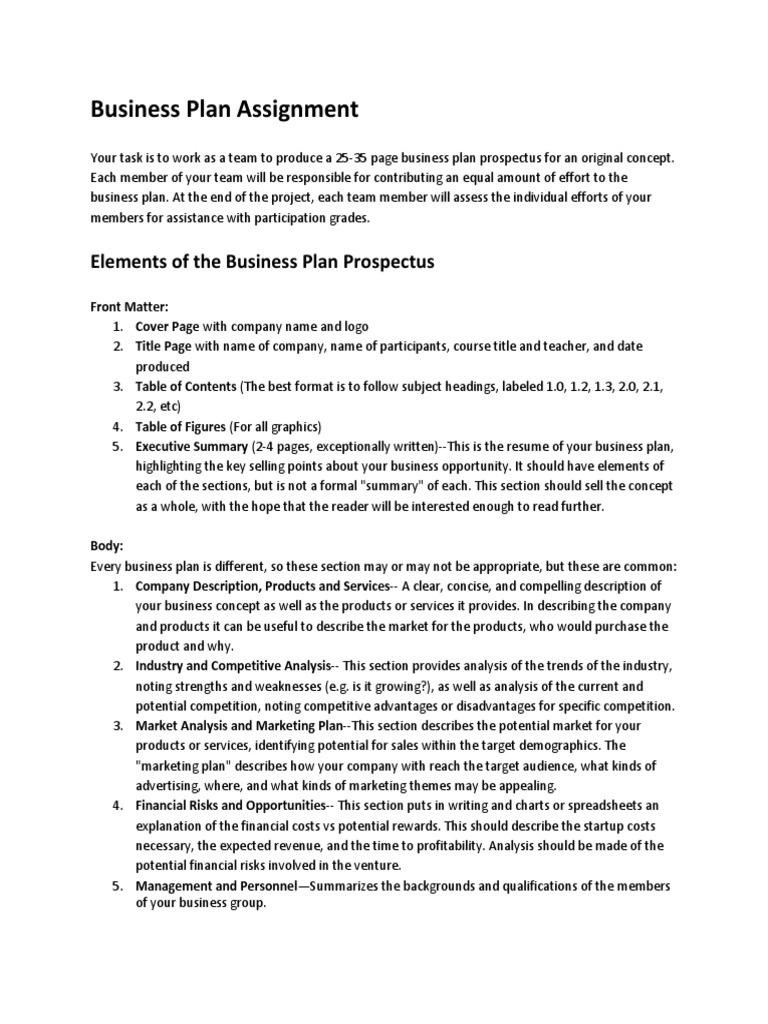 Business Plan Assignment-1-1 | PDF | Economies | Communication