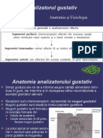 Analizatorul Gustativ PDF