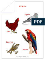 Names of Birds Picture Book PDF
