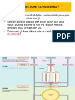 Metabolisme Karbohidrat