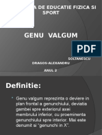 257854333-Genunchi-valgum.pptx