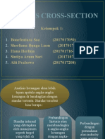 Analisis Cross-Section