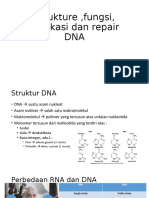Strukture, Fungsi, Replikasi Dan Repair DNA
