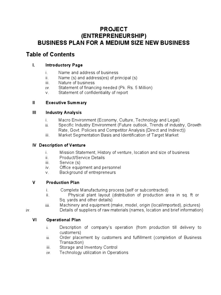 Outline Entrepreneurship Project PDF