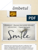 Zâmbetul (Автосохраненный)