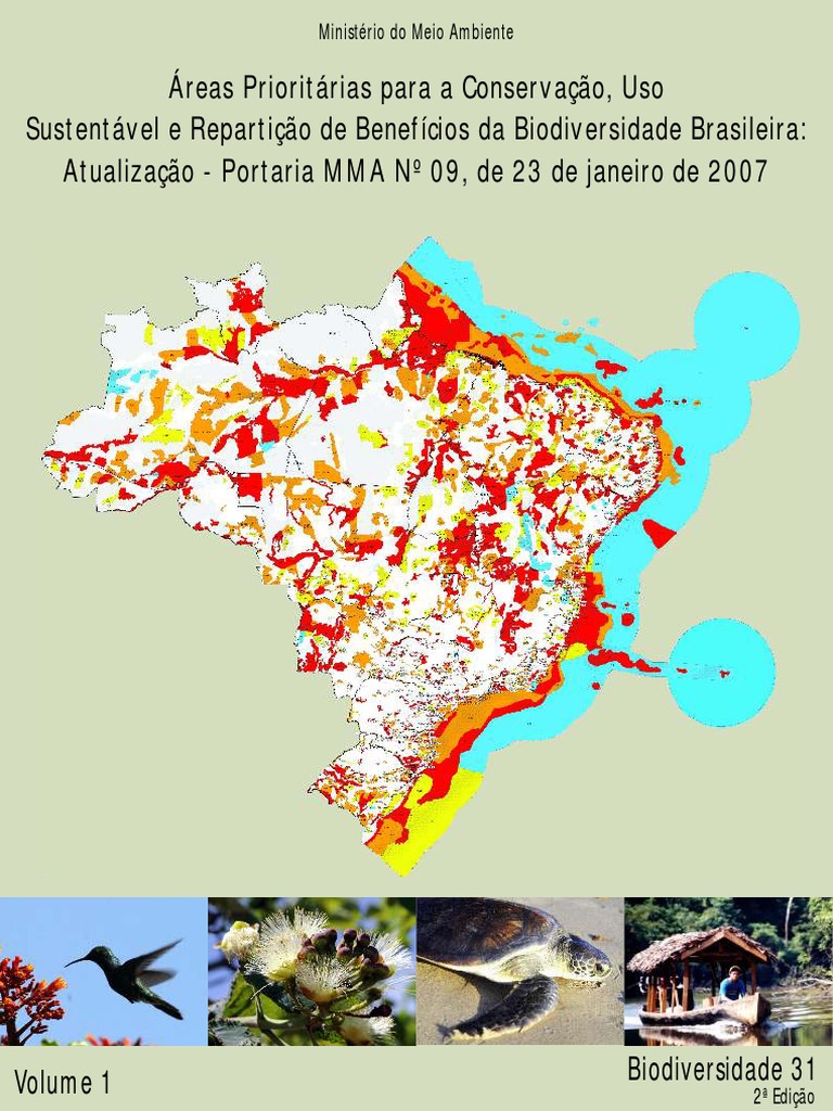 Foto não-pode-parar (Phylloscartes paulista) Por Fernando Jacobs