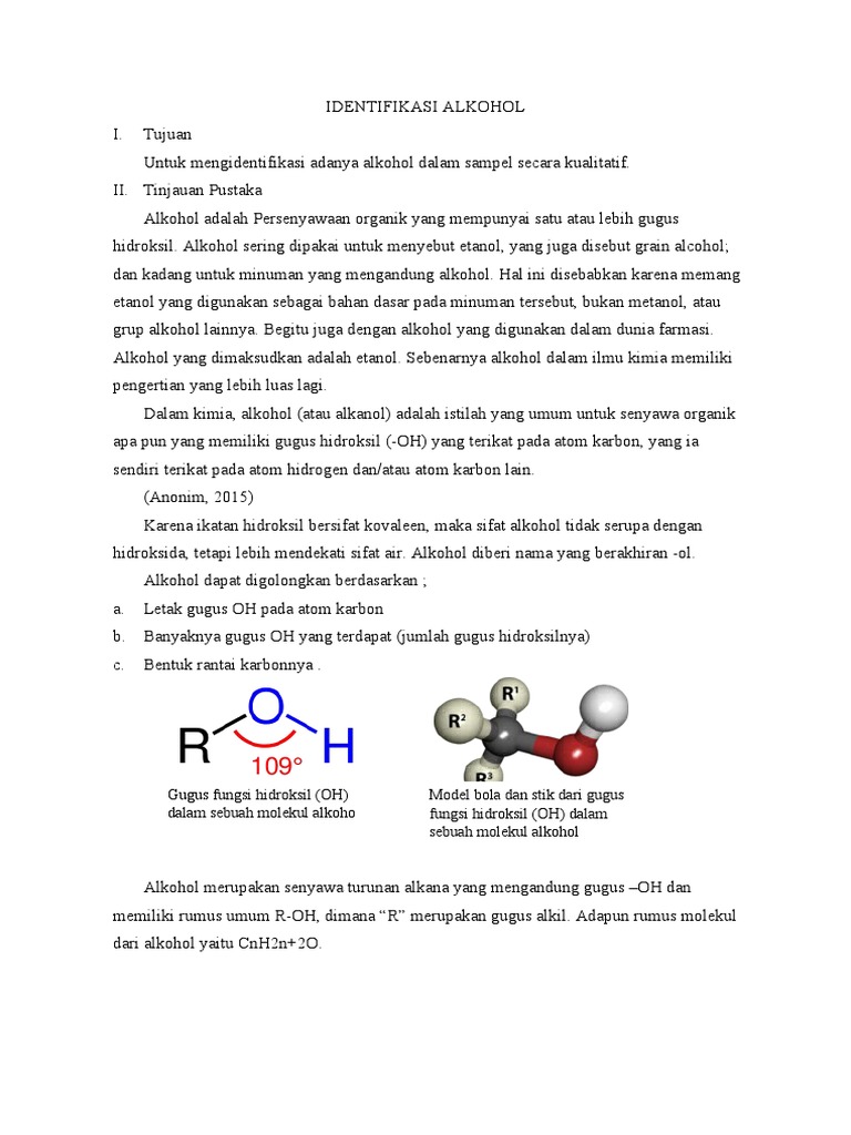 Identifikasi Alkohol