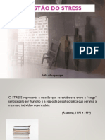 Gestão do stress pessoal e profissional