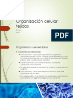 Organización celular sexto.pdf