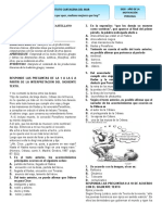 Talleres Evaluativos 11PM