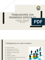 Trabajadores Con Regímenes Especiales PDF
