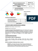 19 HS (Gasolina).pdf