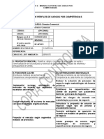 Manual de Perfil de Cargo Director Comercial