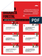 Ficha Brigadista Forestal ACHS PDF