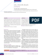 dcm101k.pdf