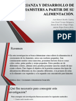 Crianza y Desarrollo de Hamsters A Partir de La Alimentación