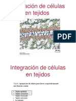 Interaccion Celulas PDF