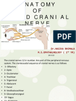 Anatomy OF Third Cranial Nerve: DR - Hasika Bhimala M.S.Ophthalmology (1 YR)