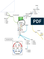 Mapa Diana Quimica