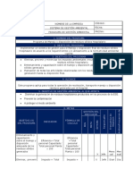 Formato Programa de Gestión Ambiental