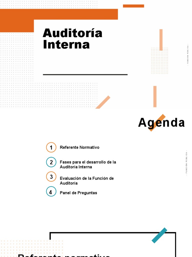 Guía de Auditoría Interna y Control | PDF | Auditoría | Contralor