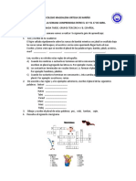 Guia Castellano Grados 3a y 3B Abril 142020 PDF