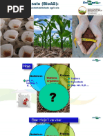 Palestra Bioanalise de solo Prof Ieda Mendes 2019