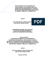 Programa Funcional Depresión PDF