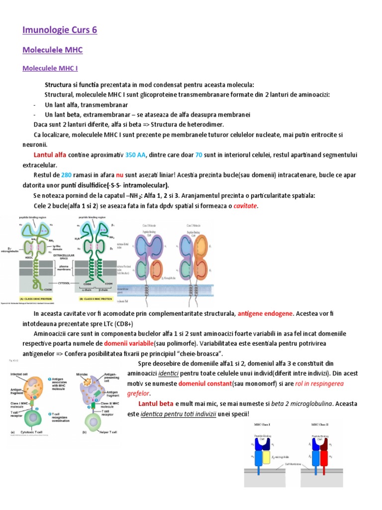 Imunologie Curs 6 MHC | PDF