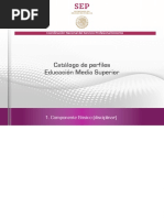 Anexo 7-2 CATALOGO DE PERFILES EMS - 1 Componente Básico (Disciplinar) PDF