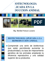 Biotecnologia Aplicada A La Reproduccion Animal